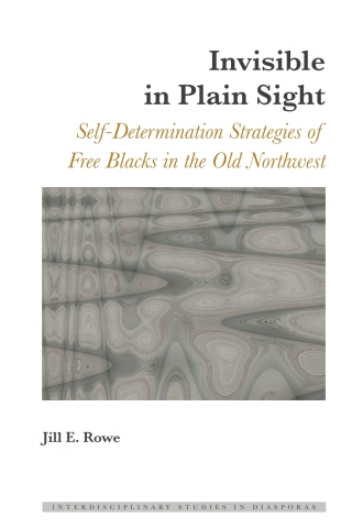 Immagine di copertina: Invisible in Plain Sight 1st edition 9781433134906