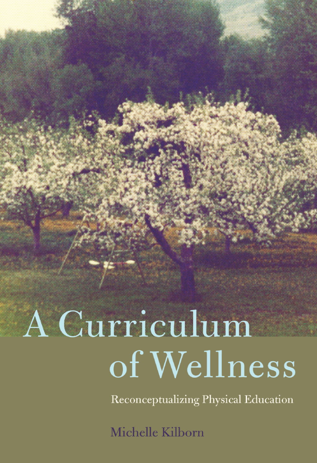 A Curriculum of Wellness Reconceptualizing Physical Education 1st Edition