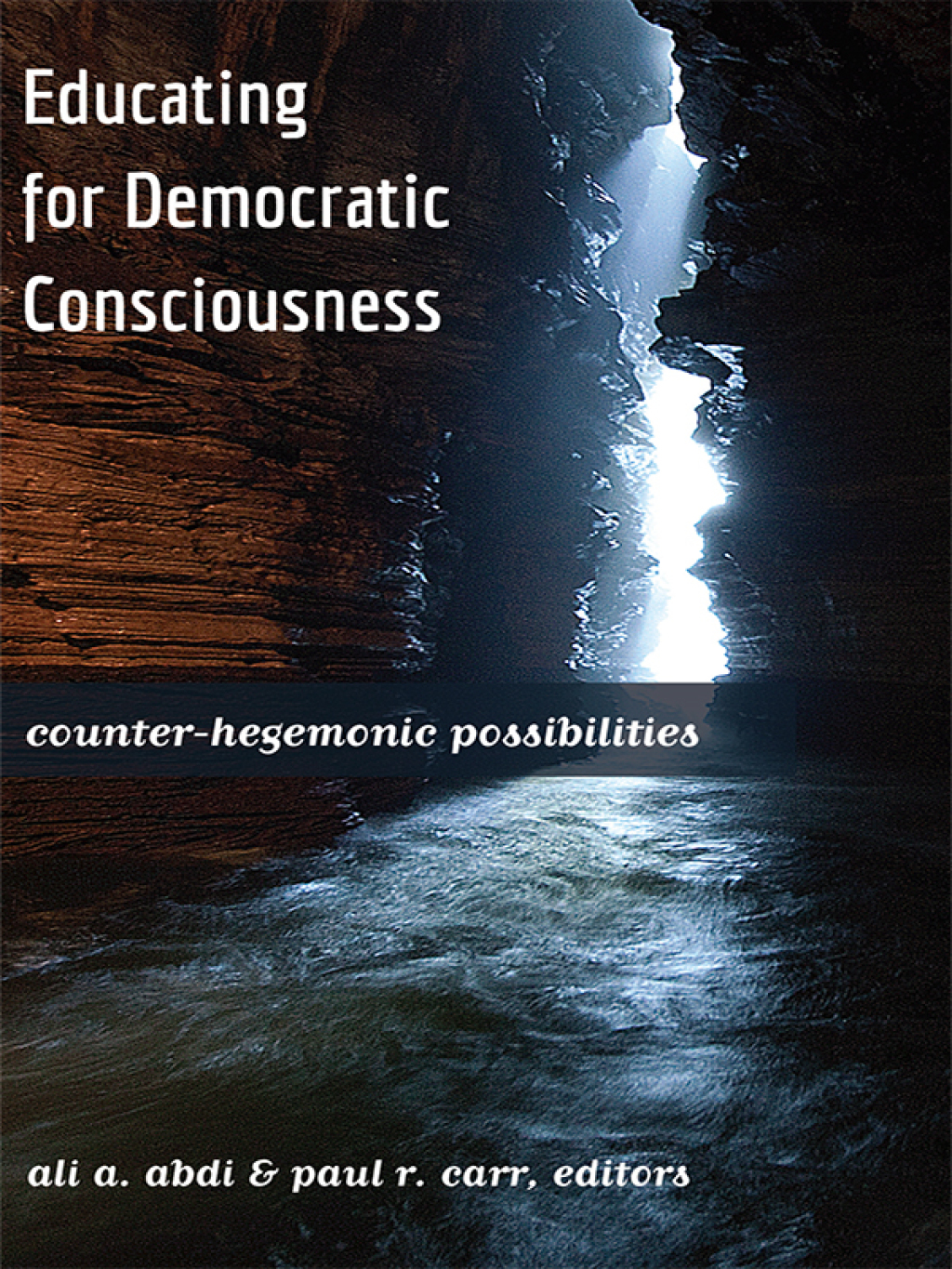 Educating for Democratic Consciousness Counter-Hegemonic Possibilities 1st Edition