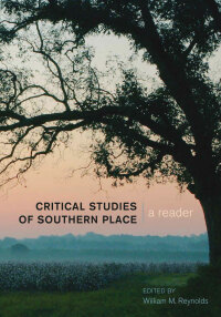 Omslagafbeelding: Critical Studies of Southern Place 1st edition 9781433122507