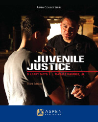 Cover image: Juvenile Justice 3rd edition 9780735507685