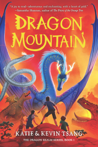 Cover image: Dragon Mountain 9781454943945