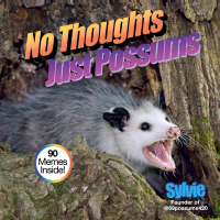 Cover image: No Thoughts Just Possums 9781454948490