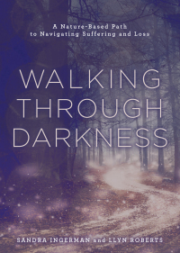 Cover image: Walking through Darkness 9781454950851
