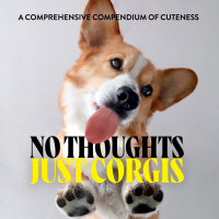 Omslagafbeelding: No Thoughts Just Corgis 9781454951858