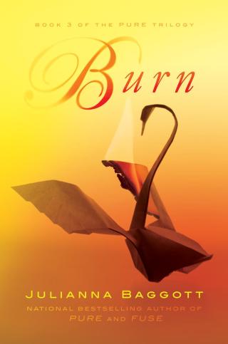 Cover image: Burn 9781455503025