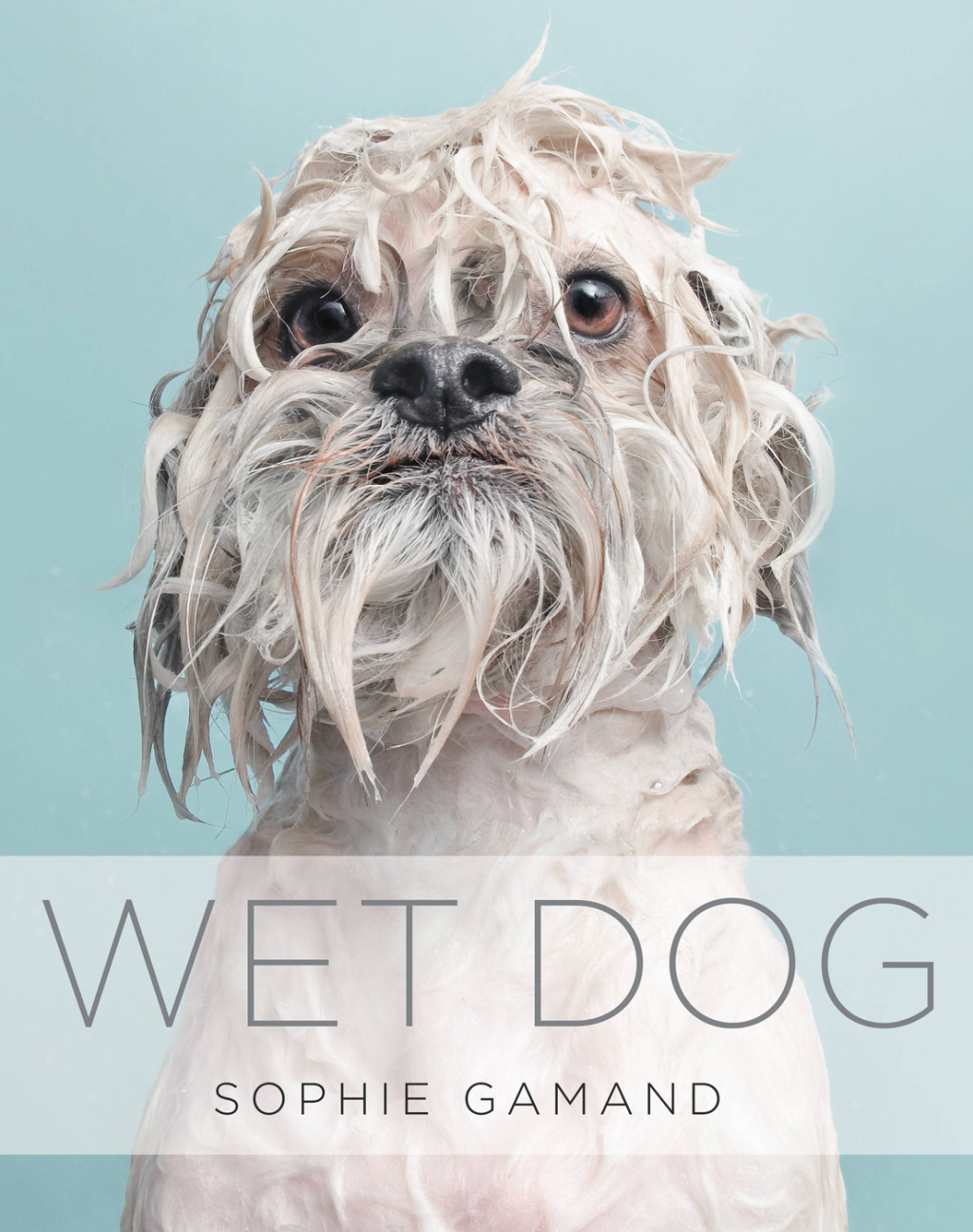 Wet Dog (eBook)