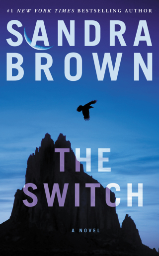 Cover image: The Switch 9780446527033