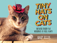 Cover image: Tiny Hats on Cats 9781455558131