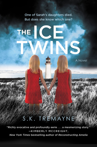 Titelbild: The Ice Twins 9781455586059