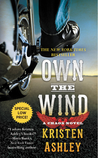 Cover image: Own the Wind 9781455599264