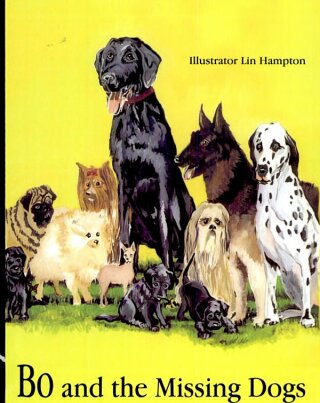 Cover image: Bo and the Missing Dogs 9781589802193