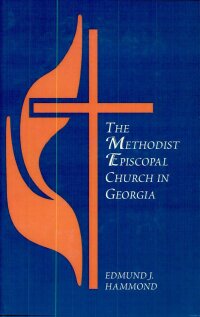 Cover image: The Methodist Episcopal Church in Georgia 9781565545496