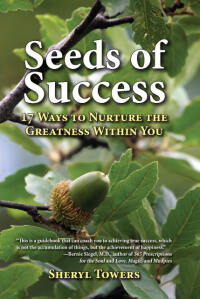 表紙画像: Seeds of Success 9781589806832