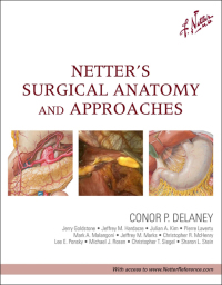 صورة الغلاف: Netter's Surgical Anatomy and Approaches 9781437708332