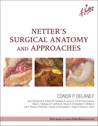 Immagine di copertina: Netter's Surgical Anatomy and Approaches 9781437708332