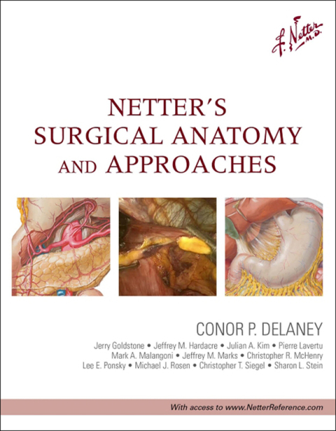Netter's Surgical Anatomy and Approaches - FULL INSTANT DOWNLOAD | PDF DOCX EPUB