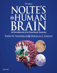 Cover image: Nolte’s The Human Brain 7th edition 9781455728596