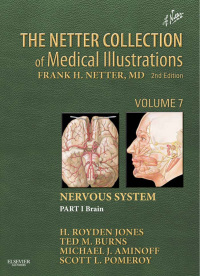 Omslagafbeelding: The Netter Collection of Medical Illustrations: Nervous System, Volume 7, Part 1 - Brain 2nd edition 9781416063872