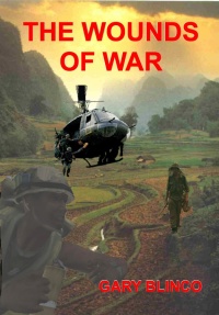Imagen de portada: The Wounds of War 9781456621223