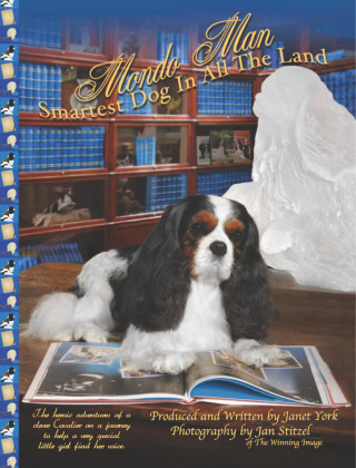 Cover image: Mondo Man Smartest Dog In All The Land