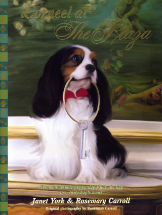 Cover image: Corneel at The Plaza