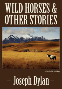 صورة الغلاف: Wild Horses and Other Stories