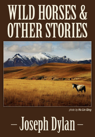 Cover image: Wild Horses and Other Stories