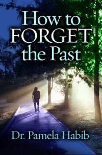 صورة الغلاف: How to Forget the Past