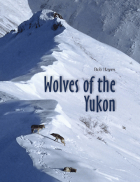 表紙画像: Wolves of the Yukon