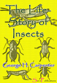 صورة الغلاف: The Life-Story of Insects