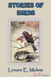 Cover image: StoriesÂ ofÂ Birds