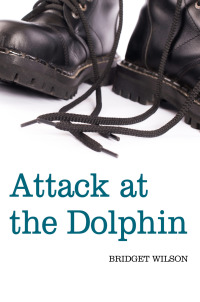 Imagen de portada: Attack at the Dolphin 9781456616373