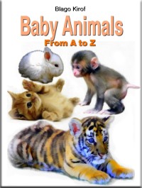 Cover image: Baby Animals From A to Z