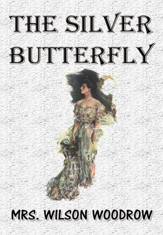 Imagen de portada: The Silver Butterfly