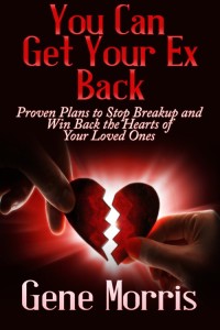 Cover image: You Can Get Your Ex Back: Proven Plans to Stop Breakup and Win Back the Hearts of Your Loved Ones