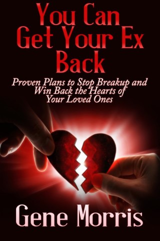 Imagen de portada: You Can Get Your Ex Back: Proven Plans to Stop Breakup and Win Back the Hearts of Your Loved Ones