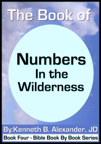 Cover image: The Book of Numbers - In the Wilderness