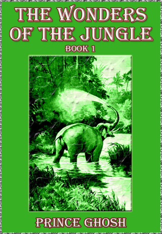 Imagen de portada: The Wonders of the Jungle, Book 1