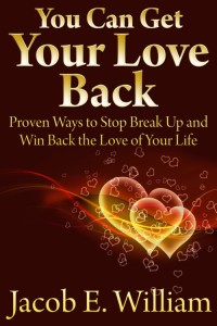 Imagen de portada: You Can Get Your Love Back: Proven Ways to Stop Break Up and Win Back the Love of Your Life