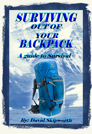 صورة الغلاف: Surviving Out of Your Backpack