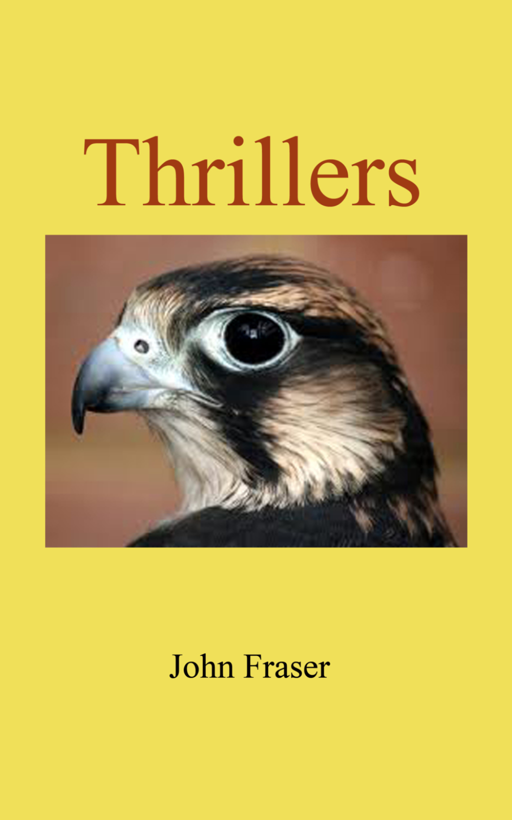 Thrillers eBook