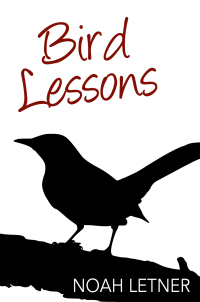 Omslagafbeelding: Bird Lessons
