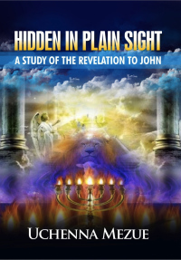 表紙画像: Hidden In Plain Sight: A Study of the Revelation to John
