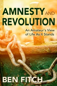 Cover image: Amnesty and Revolution: An Amateur's View of Life As It Stands 9781456626495