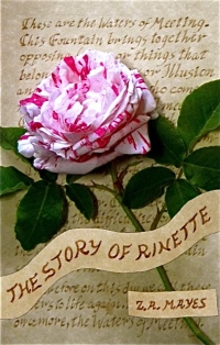صورة الغلاف: The Story of Rinette