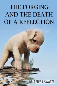 صورة الغلاف: The Forging and the Death of a Reflection