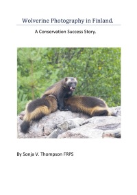 Cover image: Wolverine Photography in Finland: A Conservation Success Story