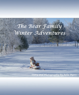 Cover image: The Bear Family Winter Adventures