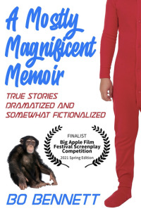 Cover image: A Mostly Magnificent Memoir 9781456636012